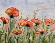 MOHNFELD original Aquarell