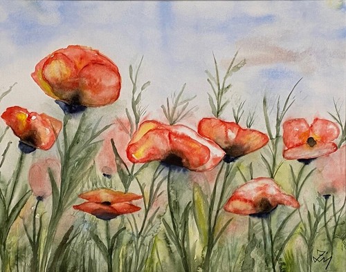 Mohnfeld original aquarell - original,