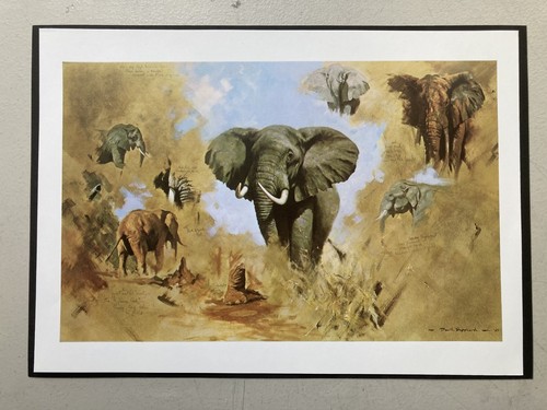 Afrikanischer wildtierdruck - afrikanischer,