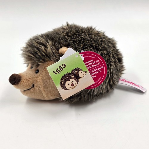 Schaffer igel iggy - iggy, ca.