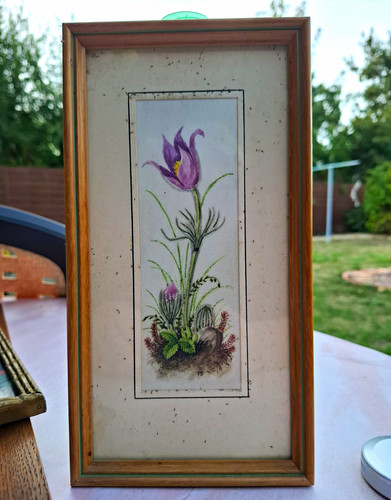 Gerahmtes original aquarell - original,