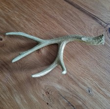 Hirschgeweih vergoldet Dekohirschgeweih Dekohirsch Geweih