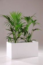 Blumenkübel Pflanzkübel Pflanztrog Fiberglas MAXI 100 Weiß matt B-WARE