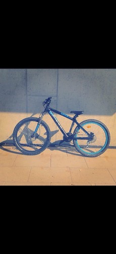 Bulls mountainbike zoll 24 - 16,