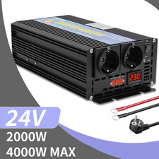 2000W 4000W Reiner Sinus