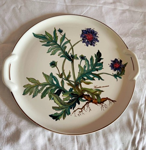 Villeroy boch botanica - &,