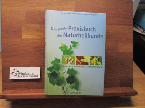 Das große praxisbuch der - große,