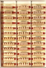 Vitapan Prothesenzähne