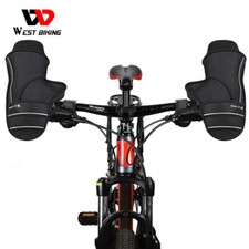 Winter Sports Bicycle