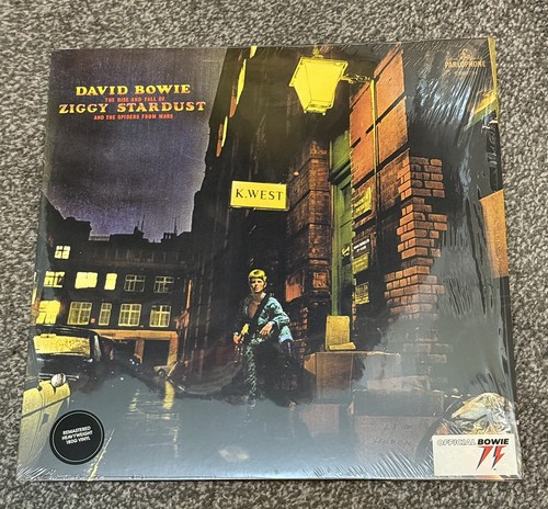 David bowie the rise and - david,
