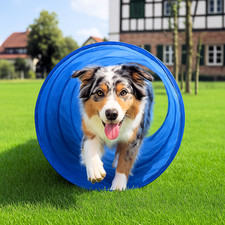 Agility hunde sport tunnel - sport,