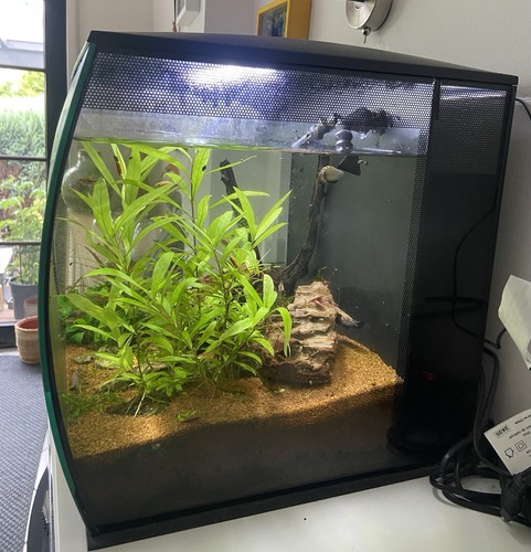 Verkaufe ein 60l aquarium - verkaufe,