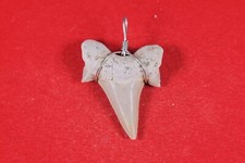 *Anhänger*Haifischzahn*Khouri