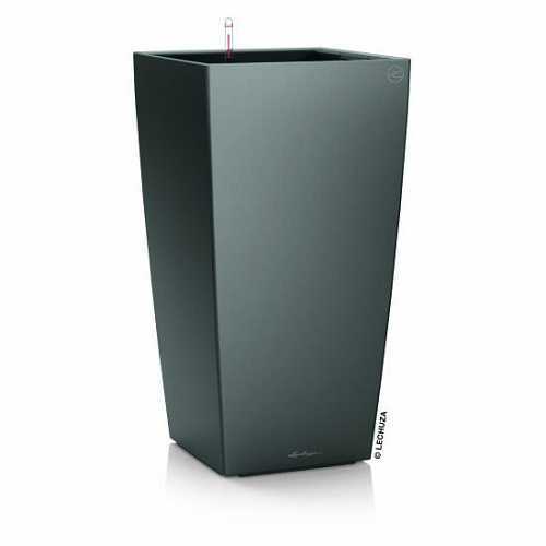 Lechuza cubico komplettset - 40,
