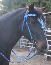 Wunderschöne Showtrense