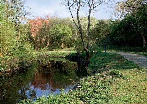 Juist goldfischteich insel - juist,