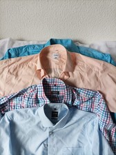 OLYMP LUXOR TENDENZ + ETERNA