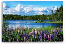 120x80cm Wandbild See Natur