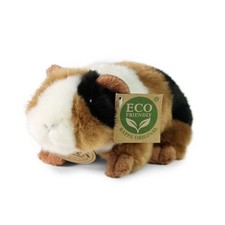 Meerschweinchen tricolor - cm,