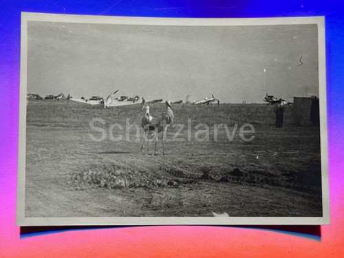 Foto luftwaffe - luftwaffe,, ii.