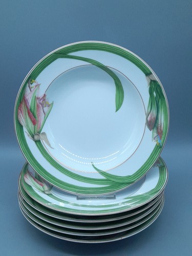 Rosenthal donatello amaryllis - rosenthal,