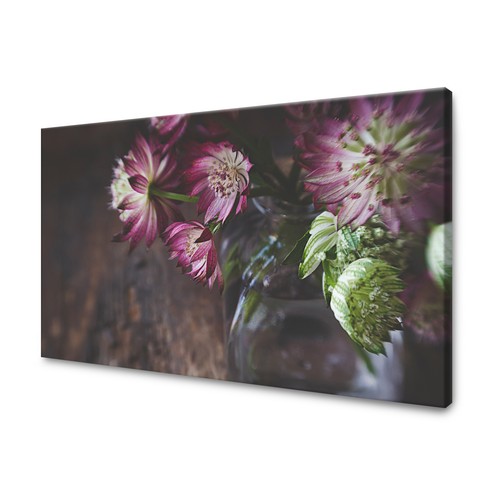 Leinwand bilder pflanzen - leinwand-bilder,
