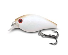 Sänger Iron Claw Doiyo KOBITO