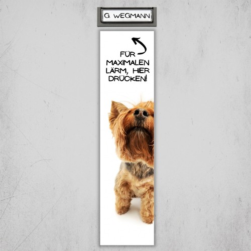 Yorkshire terrier yorkie - yorkshire,