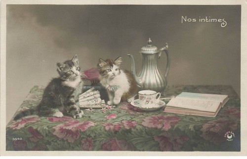 Katzen mk032 unsere intimen - katzen, ag#mk032