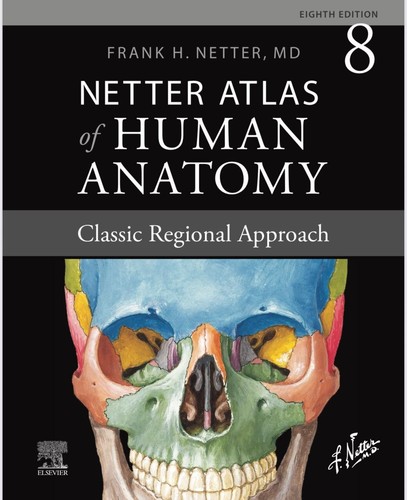 Netter atlas der - netter,