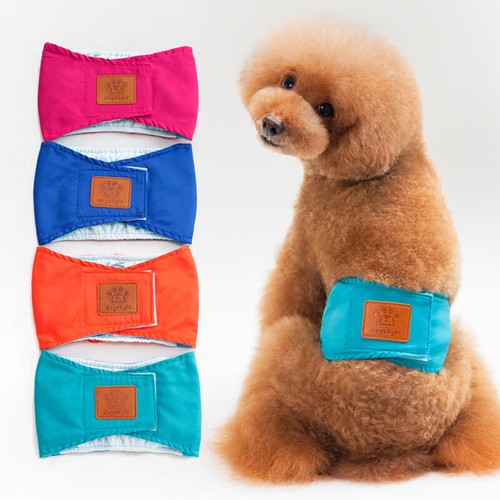 Hunde windeln waschbar - hunde,