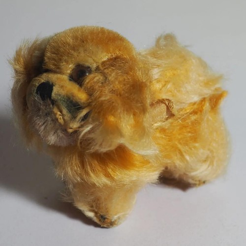 Vintage pekinese hund wohl - vintage,