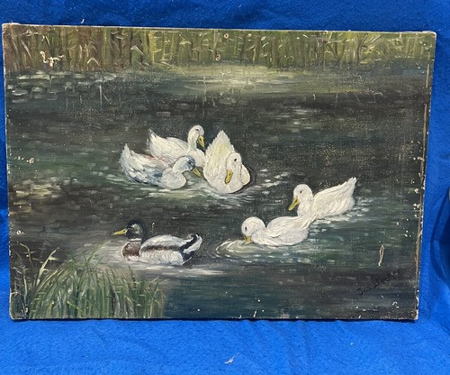Gemälde enten teich - gemälde, im