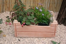 Terrakotta pflanztopf