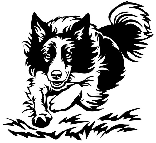 Border collie aufkleber - border,
