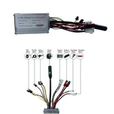 E-bike Brushless Motor