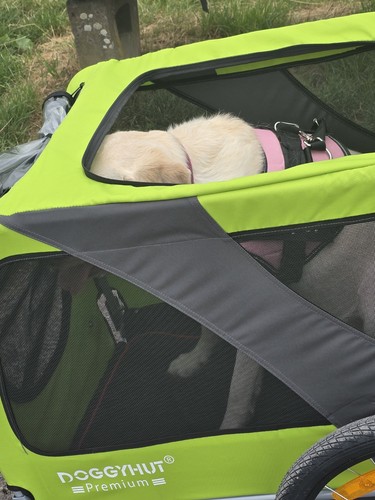 Doggyhut premium - doggyhut,