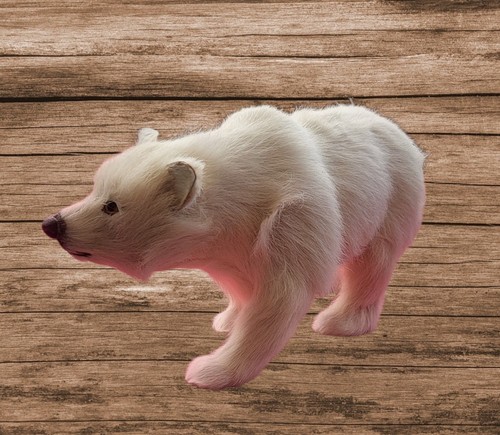 Eisbär echt fell felltier - eisbär, echt-fell