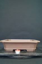 Bonsai Schale rechteckig