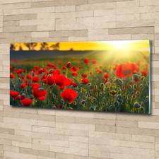 Glas-Bild Wandbilder Druck auf