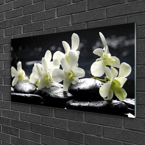 Acrylglasbilder 100x50