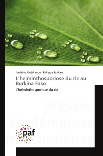 Ibrahima ouédraogo - ouédraogo, a.)