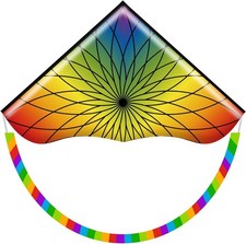 Honbo Multicolored Delta Kite