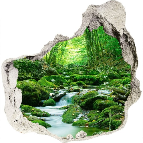 Landschaft stream wald - landschaft, im