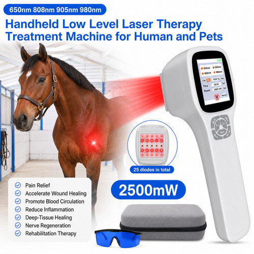 Lllt soft laser therapie - soft,