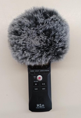 Zoom h1n tragbarer handlicher - zoom,
