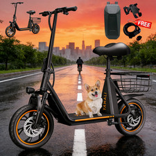 12 Zoll Elektroroller für