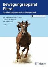 Bewegungsapparat Pferd