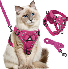 Katzengeschirr mit Leine