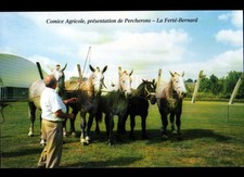 LA FERTE-BERNARD (72) COMICE